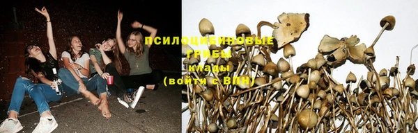 MESCALINE Медвежьегорск