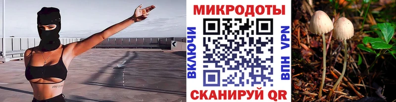 Галлюциногенные грибы ЛСД Ростов